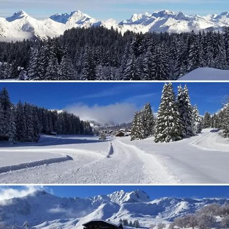 Studio Cabine Praz De Lys Taninges Ngoại thất bức ảnh