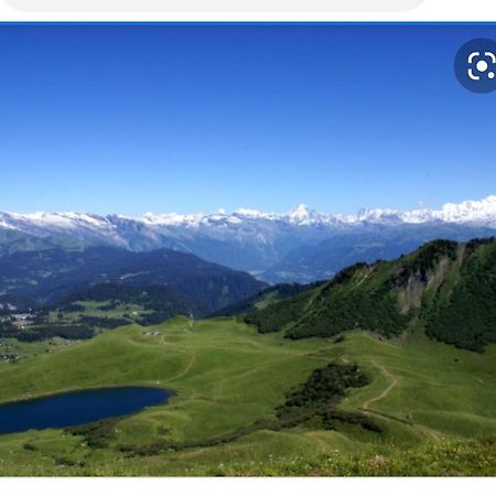 Studio Cabine Praz De Lys Taninges Ngoại thất bức ảnh