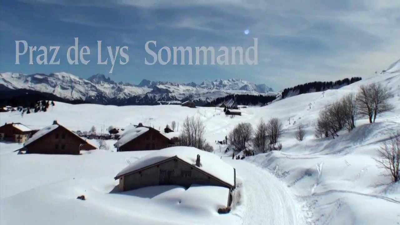 Studio Cabine Praz De Lys Taninges Ngoại thất bức ảnh